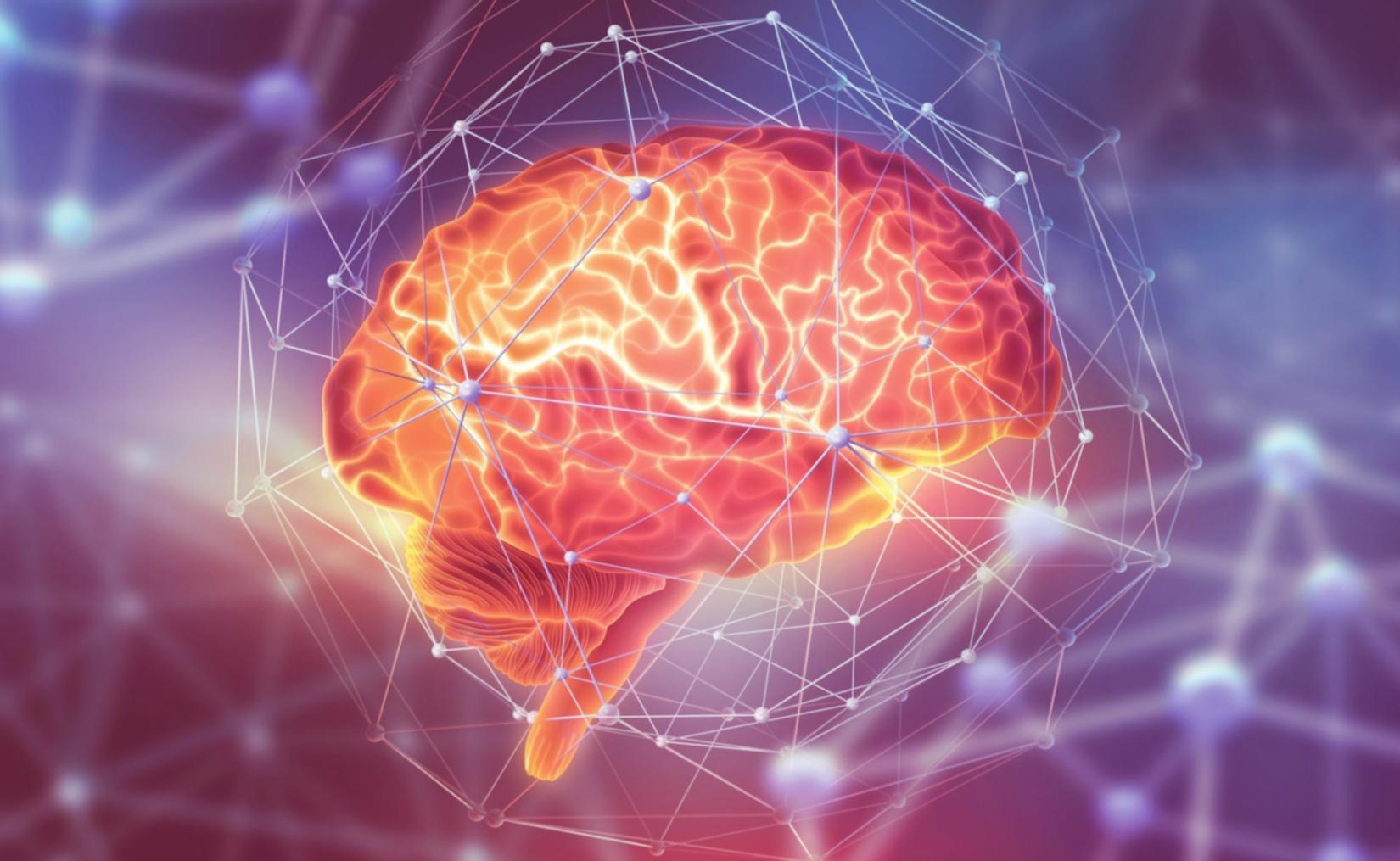 Kollaboratives Lernen in Testprojekten