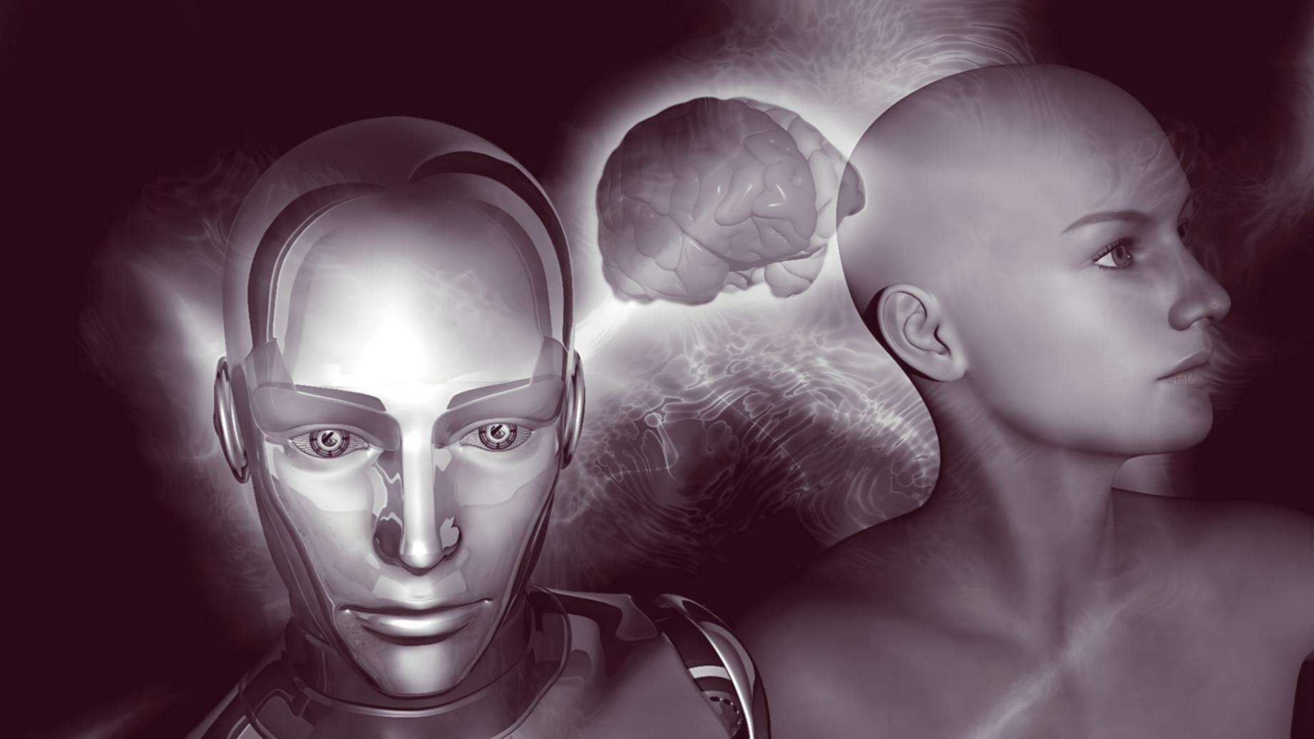 Code-Editor mit Test-Scripts